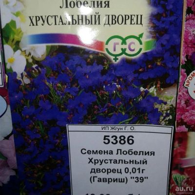 Лот: 9118041. Фото: 1. Семена / цветы / Лобелия / Хрустальный... Садовые цветы