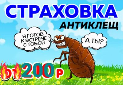 Лот: 3520923. Фото: 1. Автострахование! Антиклещ! Осаго... Страховые и финансовые услуги