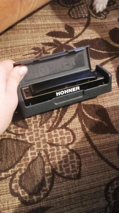 Лот: 10352635. Фото: 1. Губная гармошка Hohner Pro Harp... Духовые