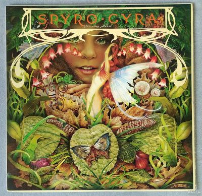 Лот: 15430553. Фото: 1. Spyro Gyra - Morning Dance. Аудиозаписи