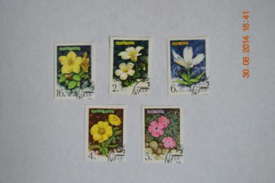 Лот: 4448826. Фото: 1. Марки СССР 1977г. Цветы гор Сибири. Марки