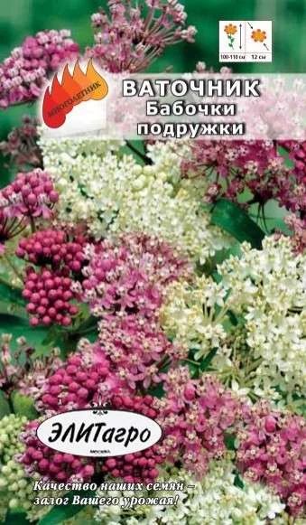 Лот: 11024246. Фото: 1. Ваточник Бабочки подружки смесь... Садовые цветы