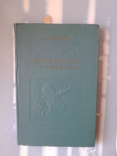 Лот: 15772545. Фото: 1. Моря СССР. Их фауна и флора. 1956г. Справочники