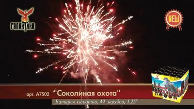 Лот: 15245369. Фото: 1. Сегодня Новый Год! Успеем доставить... Фейерверки, салюты, пиротехника
