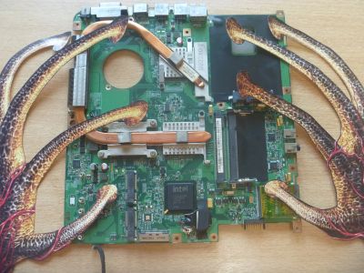 Лот: 18767865. Фото: 1. Плато Packard Bell. Комплекты запчастей