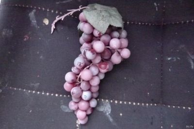 Лот: 13505225. Фото: 1. виноград искуственный. Аксессуары