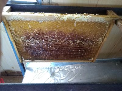 Лот: 7868989. Фото: 1. Мёд 2019 года. Разнотравный с... Мёд, продукты пчеловодства