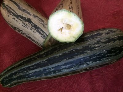 Лот: 14542273. Фото: 1. Кабачки свои,доставка. Овощи, фрукты, зелень