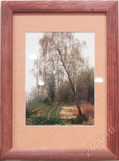 Лот: 169912. Фото: 1. Пейзаж. Фотографии