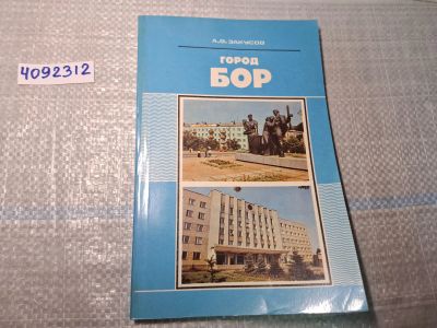 Лот: 24921520. Фото: 1. Oz. (4092312) Город Бор , Закусов... Другое (литература, книги)