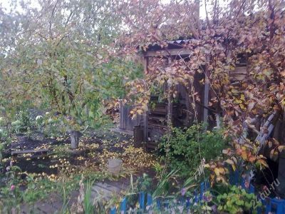 Лот: 947628. Фото: 1. дача с/о саяны1. Дачи