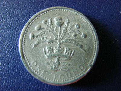 Лот: 13460033. Фото: 1. 1 фунт 1993, Соединённое Королевство... Великобритания и острова