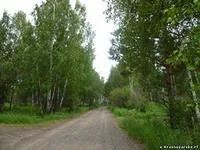 Лот: 3866776. Фото: 1. Земельный участок ,24 км. Енисейского... Земельные участки