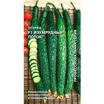 Лот: 24654569. Фото: 1. Семена Огурец, Изумрудный поток... Другое (семена, рассада, садовые растения)