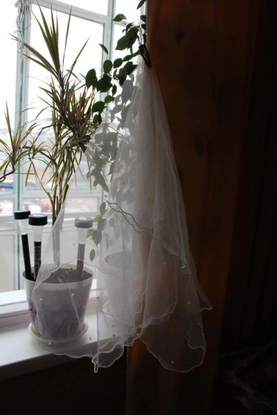 Лот: 5452019. Фото: 1. фата. Фаты, вуали, шляпки