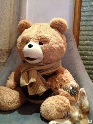 Лот: 2012563. Фото: 1. Мишка ТЭд из фильма Третий Лишний... Фигурки, статуэтки