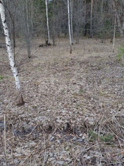 Лот: 25322309. Фото: 1. участок , садоводческое некоммерческое... Земельные участки