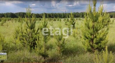 Лот: 25296263. Фото: 1. участок , Красноярск Красноярск... Земельные участки