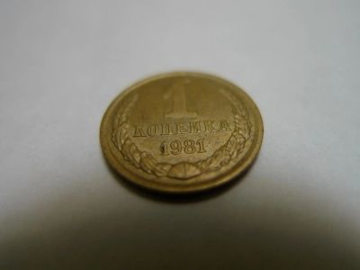 Лот: 4803801. Фото: 1. 1 (одна) копейка, СССР, 1981 г... Россия и СССР 1917-1991 года