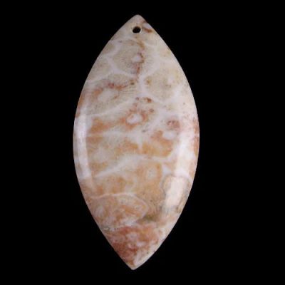 Лот: 6125069. Фото: 1. натуральный Коралл Fossil Кулон... Драгоценные и поделочные камни