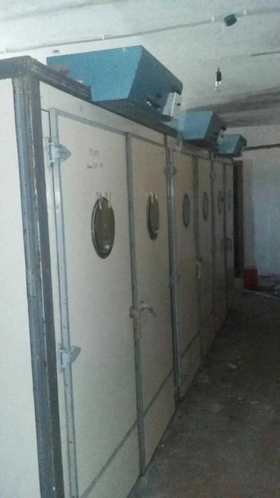 Лот: 11756308. Фото: 1. Инкубатор на 12000 яйца, +выводной... Промышленное