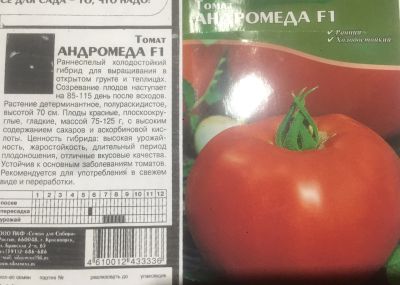 Лот: 17597143. Фото: 1. Рассада помидоров Андромеда. Овощи