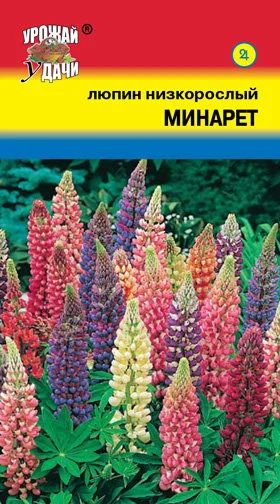 Лот: 12883917. Фото: 1. Семена люпина низкорослого "Минарет... Садовые цветы