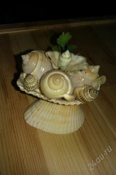 Лот: 1880523. Фото: 1. Композиция из ракушек (ракушки... Другое (ручная работа)