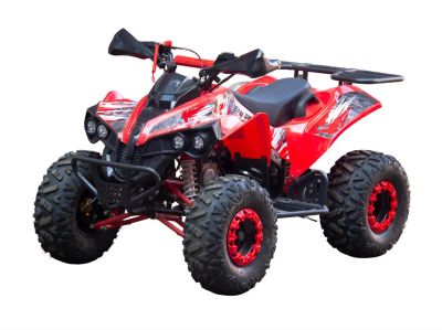 Лот: 25208604. Фото: 1. Квадроцикл GLADIATOR X125. Снегоходы, квадроциклы