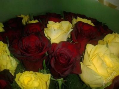 Лот: 2950135. Фото: 1. Букет цветов (красные и желтые... Красноярск