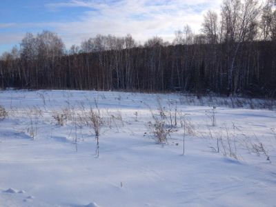 Лот: 3736153. Фото: 1. Земельный участок д. Раскаты... Земельные участки