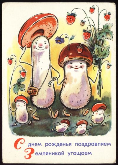 Лот: 11538062. Фото: 1. открытка С.С.С.Р. * 1962 год... Открытки, конверты