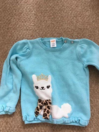 Лот: 11356271. Фото: 1. кофта Gymboree. Свитера, худи, толстовки