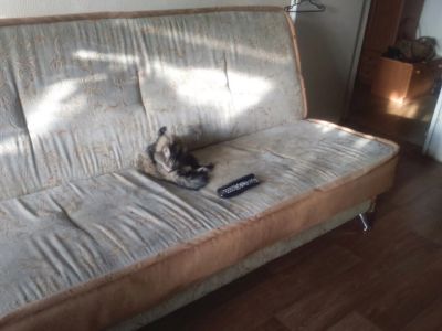 Лот: 6501996. Фото: 1. Диван срочно! забирать сегодня... Диваны