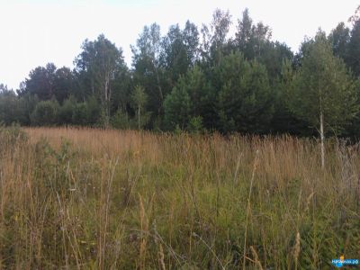 Лот: 7242231. Фото: 1. Земельный участок (садоводство... Земельные участки