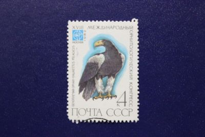 Лот: 7367291. Фото: 1. Почтовая марка №4882 в коллекцию. Марки