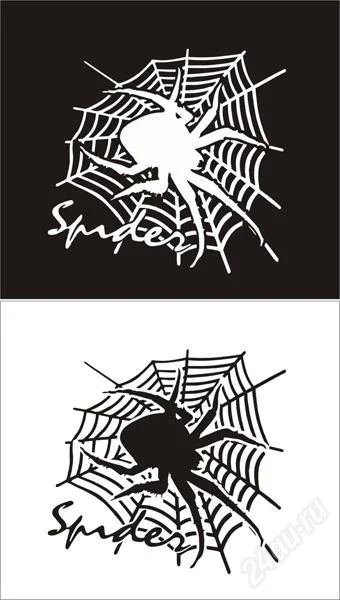 Лот: 2759877. Фото: 1. Наклейка на авто "Spider" ("Паук... Детали тюнинга