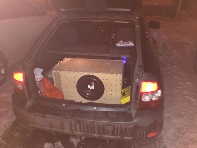 Лот: 10648317. Фото: 1. Alphard Machete M12D1 Sport Сабвуфер... Сабвуферы