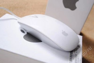 Лот: 1969152. Фото: 1. Apple original mouse !. Клавиатуры и мыши