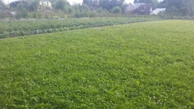 Лот: 7639711. Фото: 1. участок с. Тертеж. Земельные участки