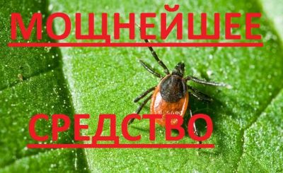 Лот: 7306828. Фото: 1. ОТ Клещей! Мощнейшее средство... Средства от насекомых и грызунов