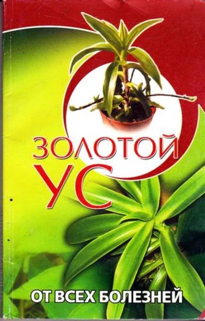 Лот: 23445279. Фото: 1. Золотой ус от всех болезней. Популярная и народная медицина