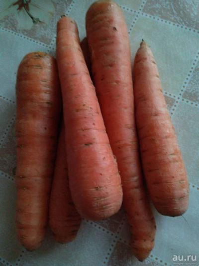 Лот: 16839427. Фото: 1. Морковь с дачи свежая. Овощи, фрукты, зелень