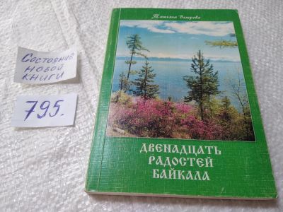 Лот: 19264949. Фото: 1. оз...Двенадцать радостей Байкала... Художественная