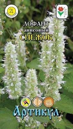 Лот: 11024383. Фото: 1. Лофант анисовый Снежок 0,1гр. Садовые цветы