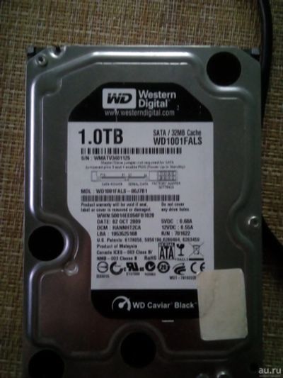 Лот: 17429867. Фото: 1. Жёсткий диск 1тб WD Black. Жёсткие диски (HDD)