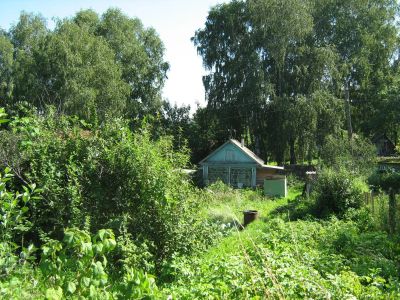 Лот: 3089899. Фото: 1. Дача БСМП 15 соток, район совхоза... Дачи