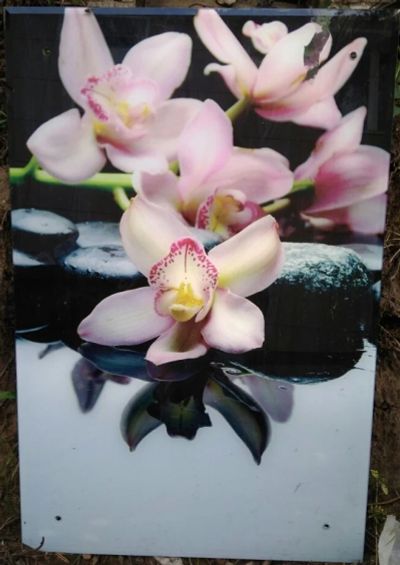 Лот: 10007894. Фото: 1. Панно Орхидея. Стекло, уф-печать... Другое (картины, панно)