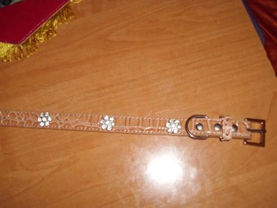 Лот: 3074772. Фото: 1. Ошейник для собаки. Ошейники, одежда, конное снаряжение