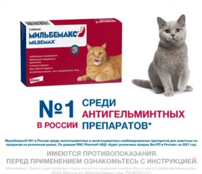 Лот: 18812791. Фото: 1. Мильбемакс для кошек (Milbemax... Косметика для животных